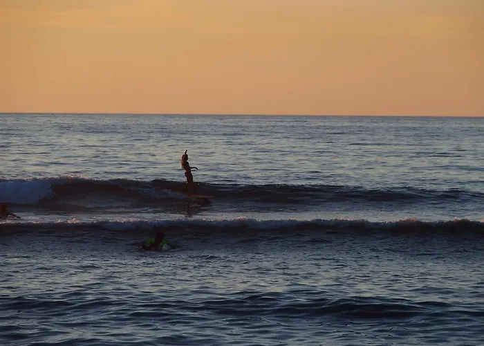 Hostel L'escale Surf - *